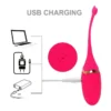 Vibrador sem Fio Controle Remoto Recarregável Rosa - Image 2