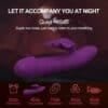 Vibrador Vai e Vem Borboleta Recarregável Roxo - Imagem 5