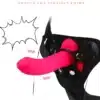 Vibrador Dildo com Cinta e Controle Pink - Imagem 3
