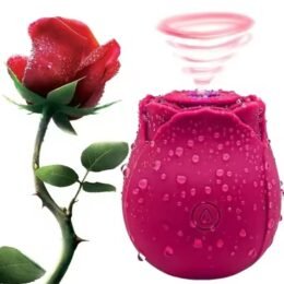 Vibrador Sucção Formato Rosa Recarregável