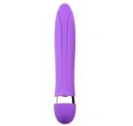 Vibrador Personal 16cm x 3cm Roxo