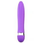 Vibrador Personal 16cm x 3cm Roxo