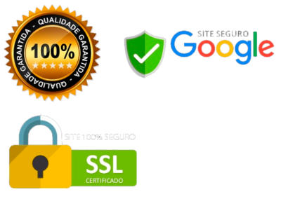 Site Seguro